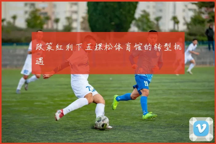 政策红利下五棵松体育馆的转型机遇
