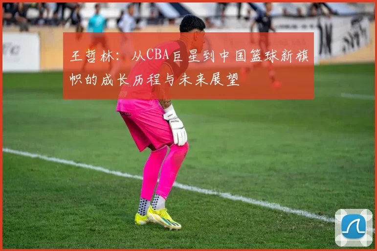 王哲林：从CBA巨星到中国篮球新旗帜的成长历程与未来展望