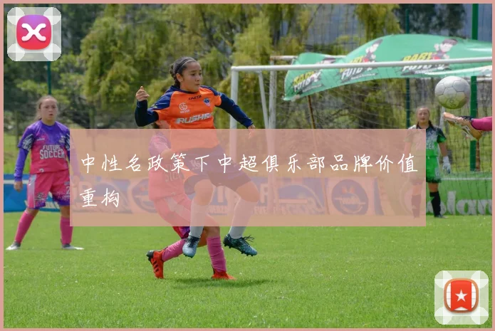 中性名政策下中超俱乐部品牌价值重构