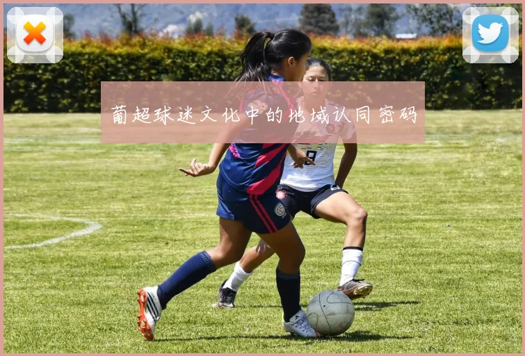 葡超球迷文化中的地域认同密码