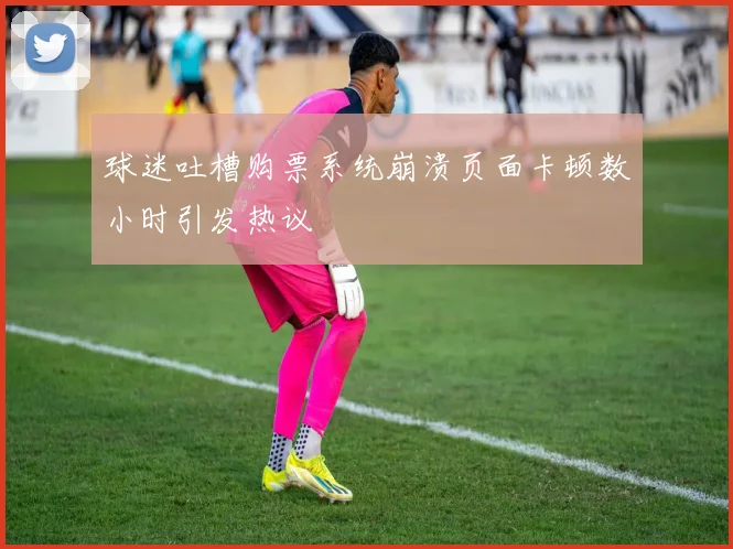 球迷吐槽购票系统崩溃页面卡顿数小时引发热议